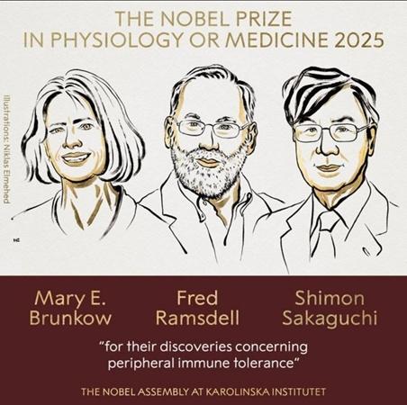 برندگان نوبل پزشکی و فیزیولوژی 2025